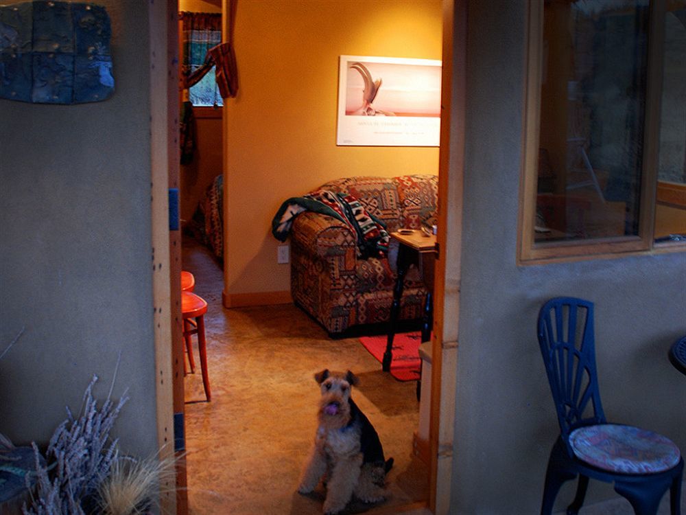 Bighorn Ridge Guesthouse Okanagan Falls 外观 照片
