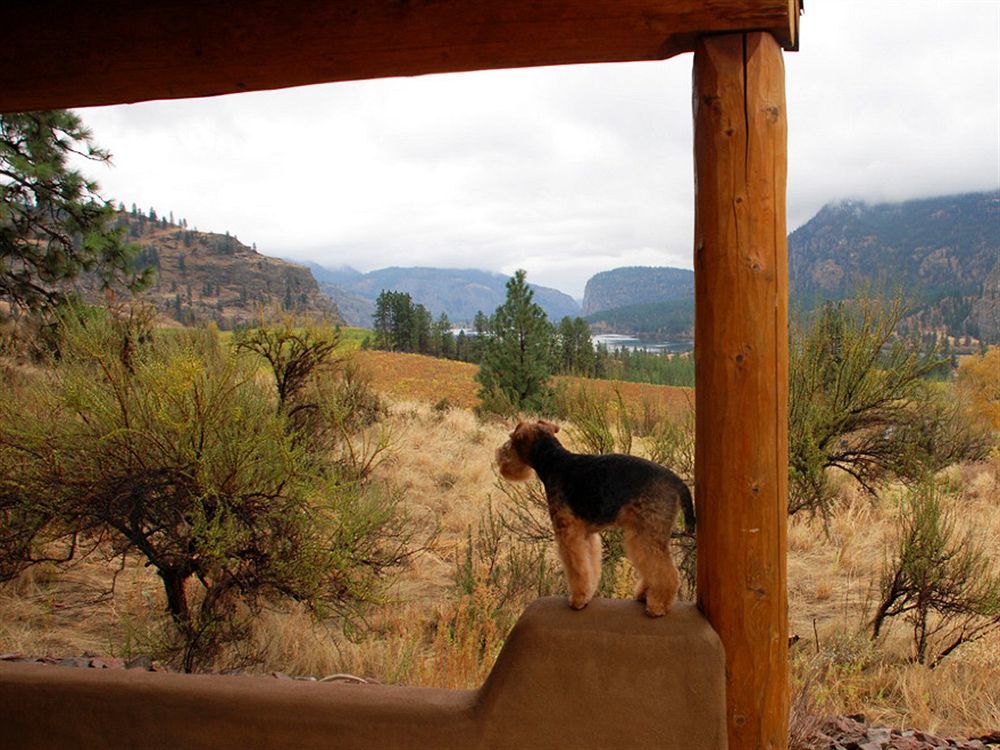 Bighorn Ridge Guesthouse Okanagan Falls 外观 照片