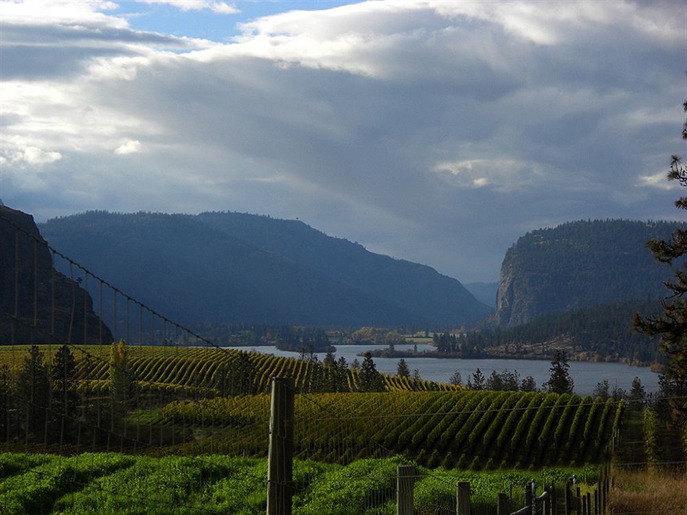 Bighorn Ridge Guesthouse Okanagan Falls 外观 照片